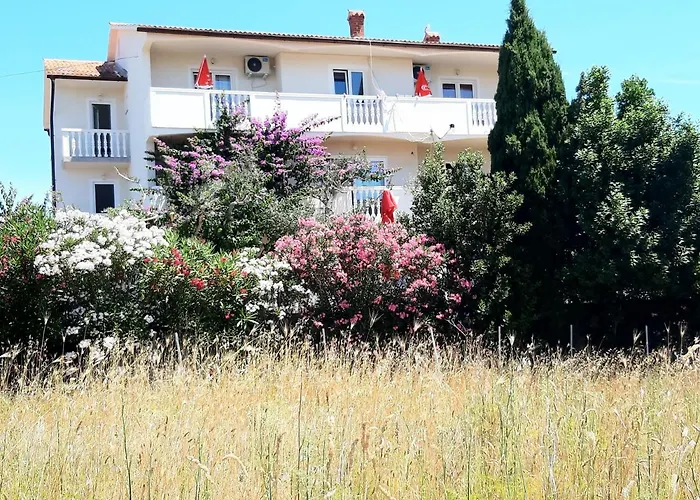 Apartments Zoran