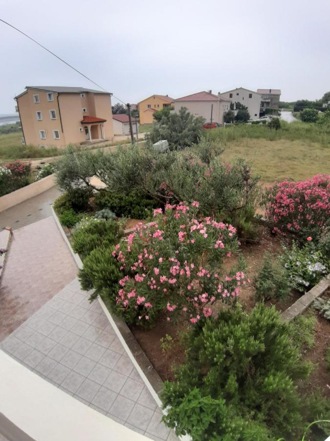 Apartment Zoran Povljana