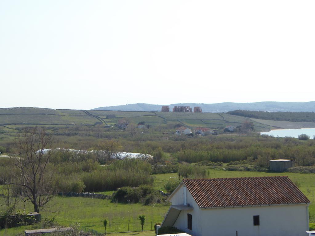 Apartment Zoran Povljana