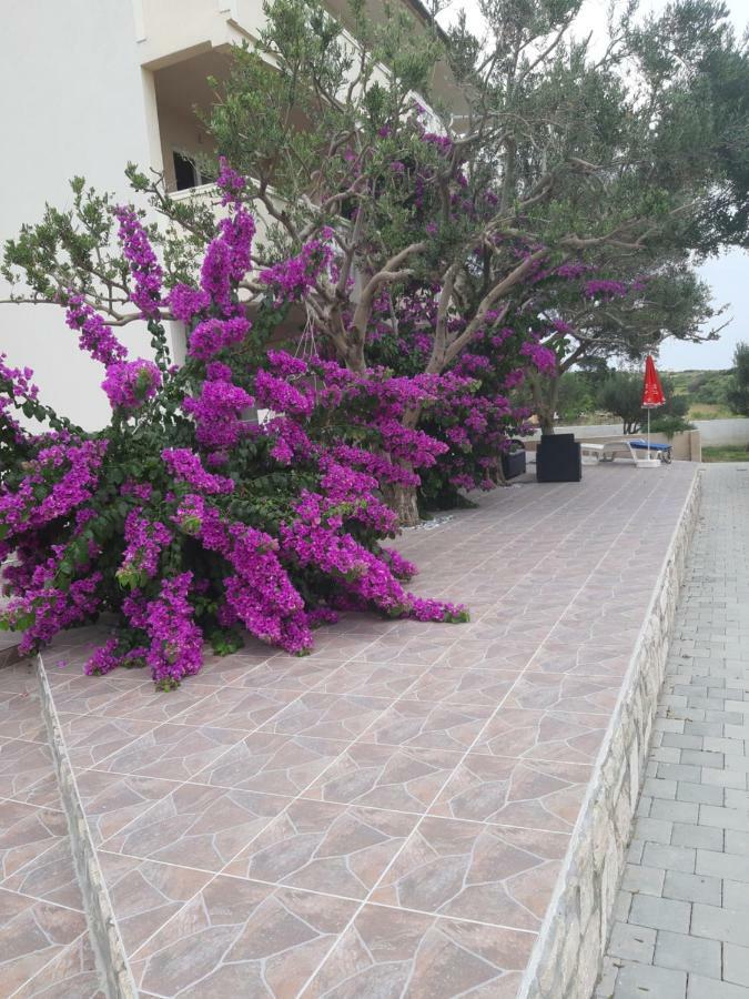 Apartment Zoran