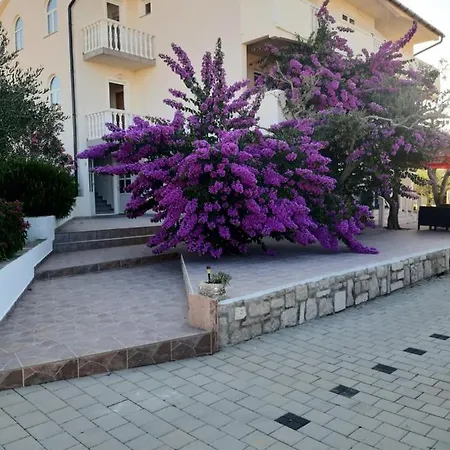 Apartments Zoran Povljana Exterior photo