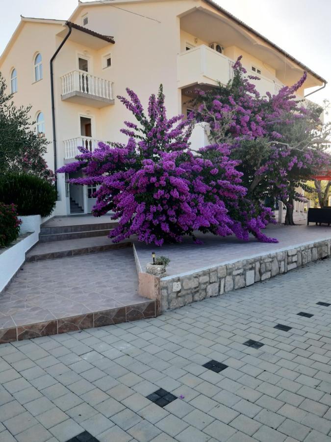 Appartamento Zoran *
