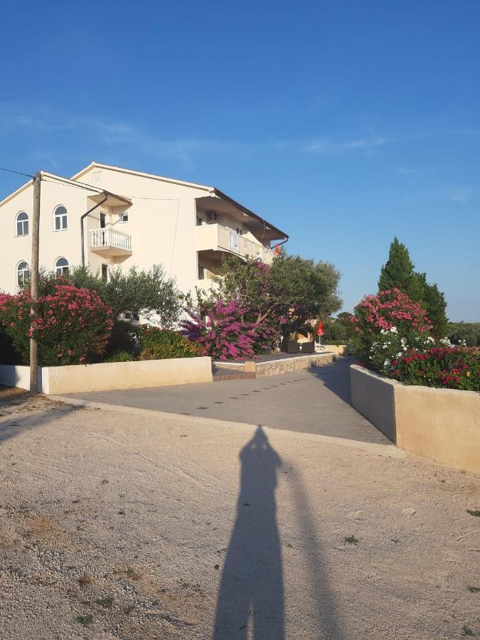 Zoran Apartment